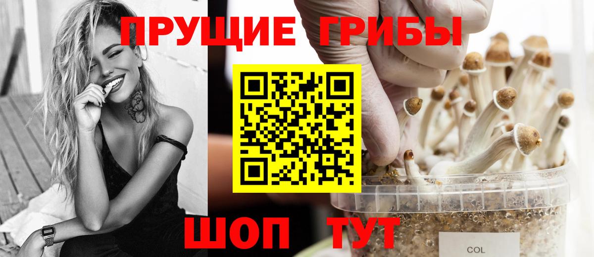 купить   Вход с VPN  Междуреченск  Псилоцибиновые грибы Psilocybe 