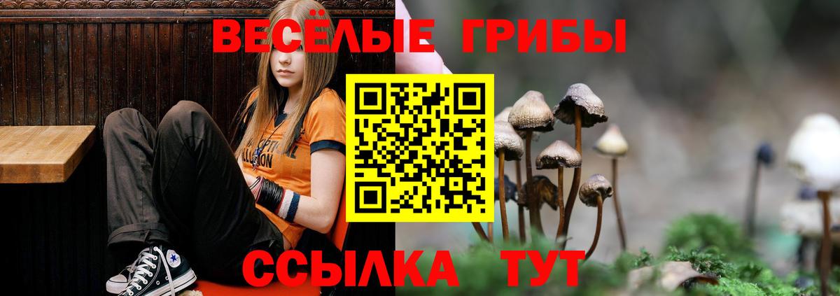 Междуреченск  ГАШ  Канабис  Вход с VPN  Меф МЯУ МЯУ   Кокаин  Alpha PVP СОЛЬ кристаллы 