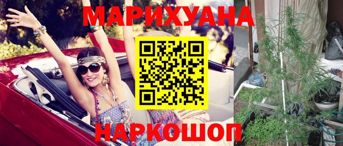 Бошки Шишки план Междуреченск